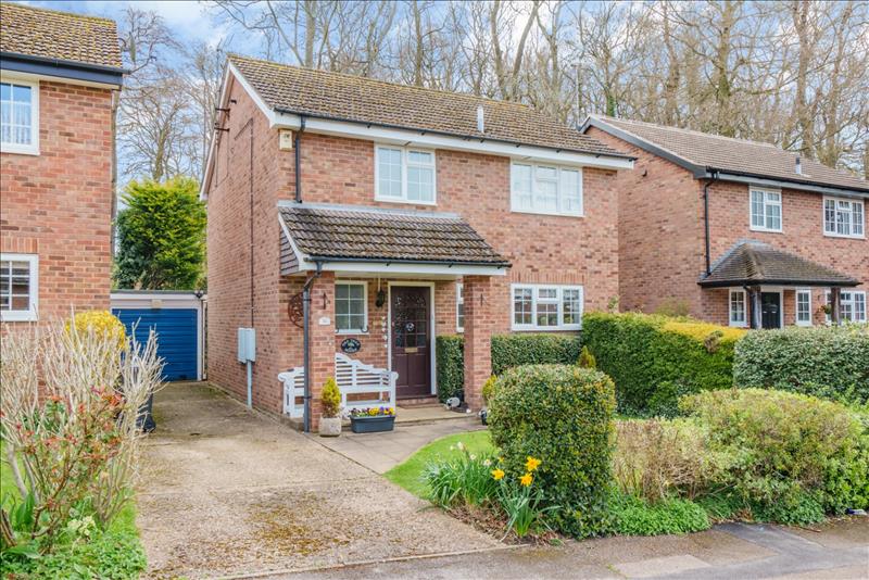 Property Imagecfabd8a1-2ed0-46f8-8c27-c6497ad22a42