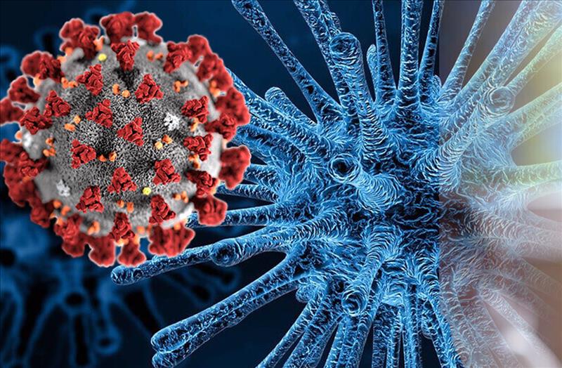 Coronavirus
