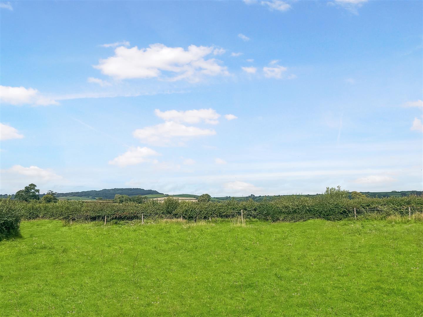 land for sale in Broadoak, Bridport, DT6 Symonds & Sampson Auctions
