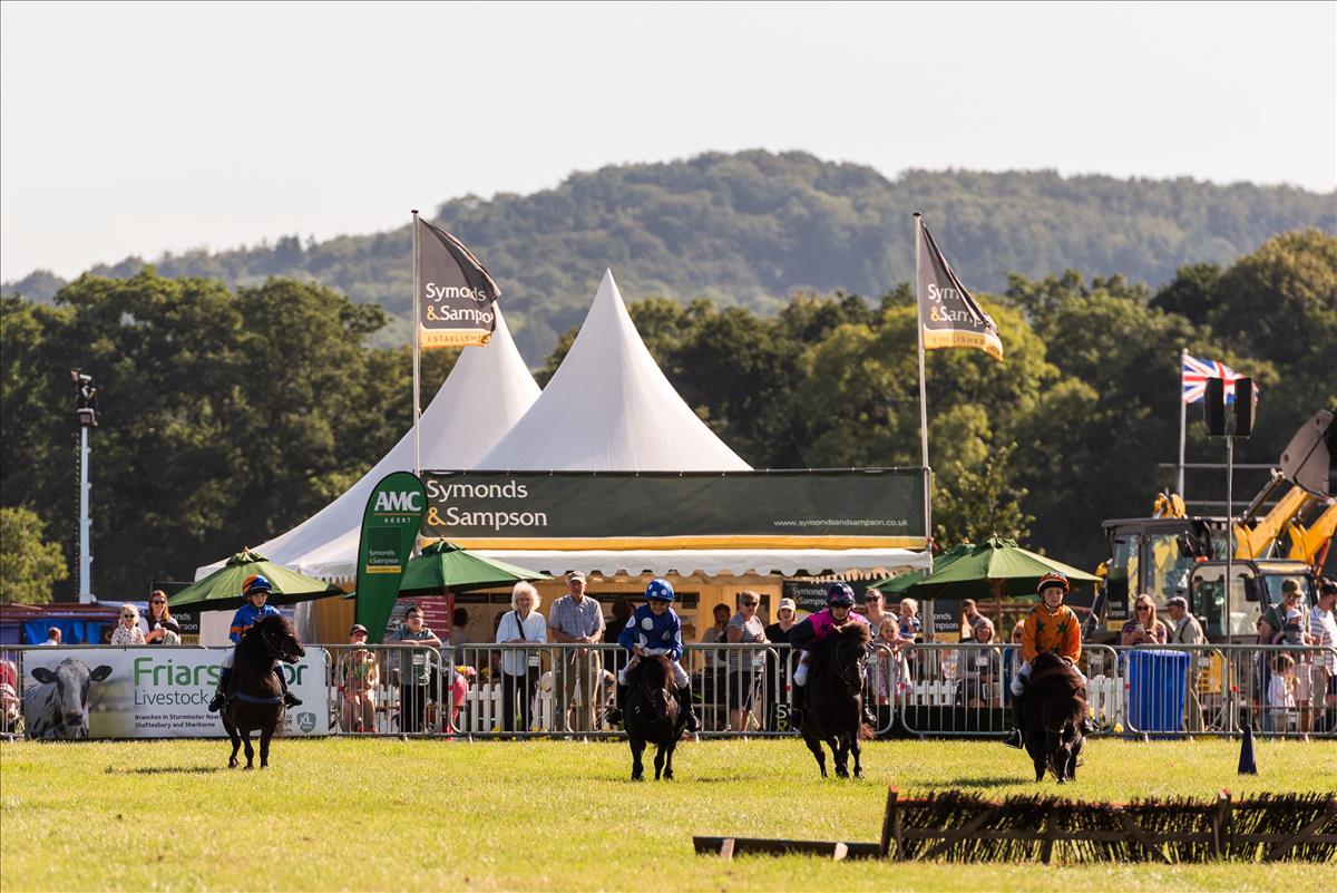 Symonds & Sampson Estate Agents, Auctioneers & Surveyors