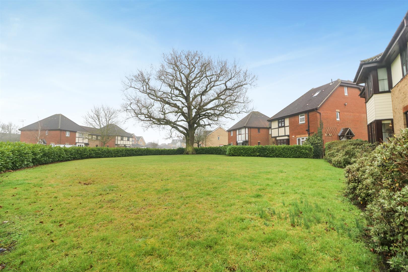 Property Image259c3f50-9c97-491f-9d29-1a3e817f767c