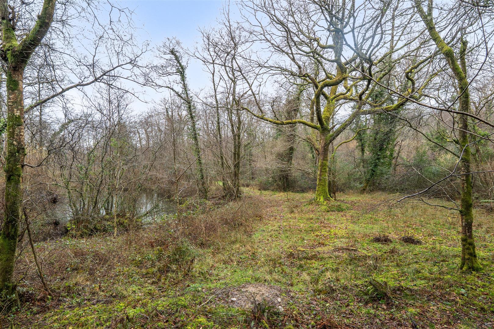 Property Image290ec9d5-bc3a-43b9-8c24-6477039f9727