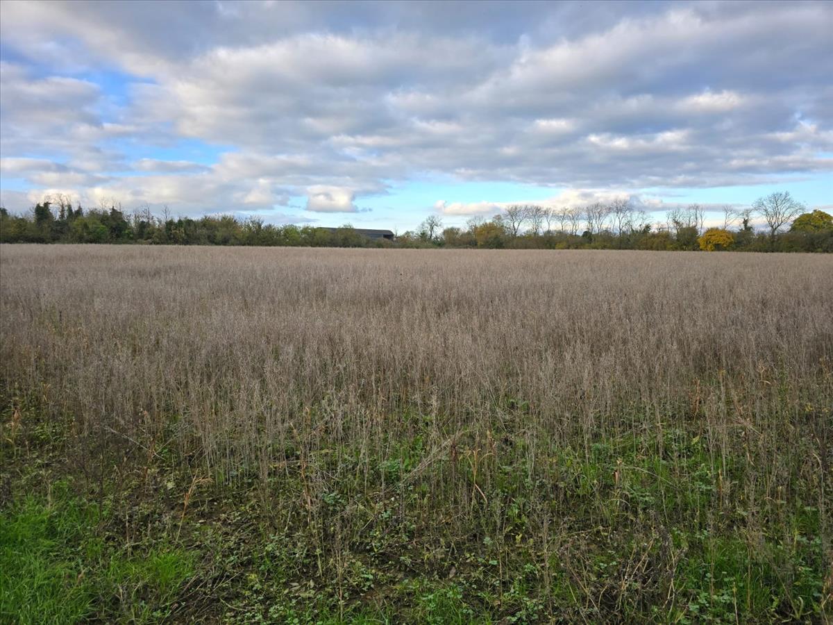 Property Image30da38b4-bce4-4d99-bdab-189617ca6e98