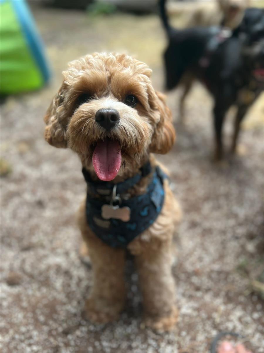 Doug