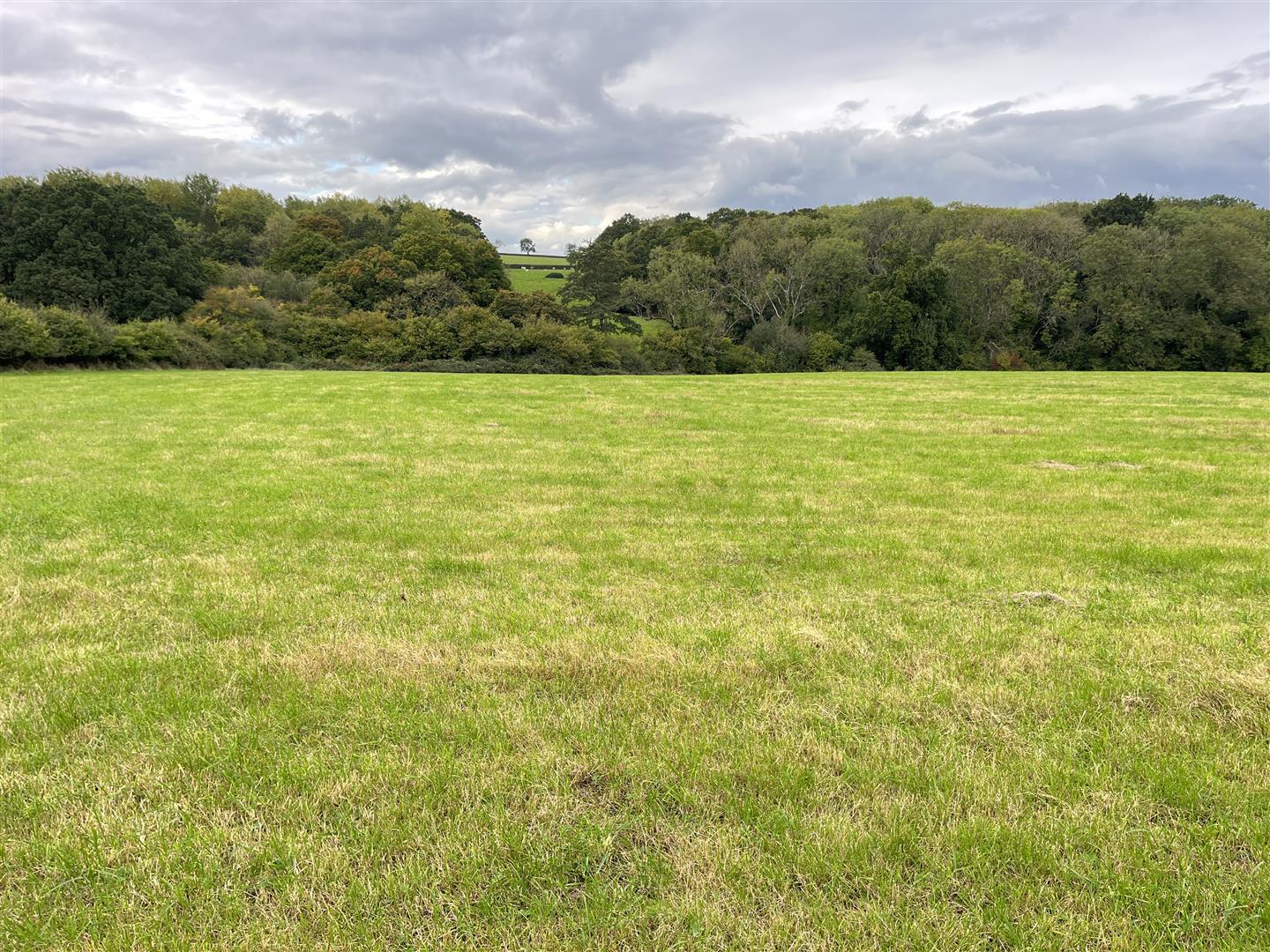 Property Image3d94eeeb-ea26-44b0-9acc-31b4dcfabb7f