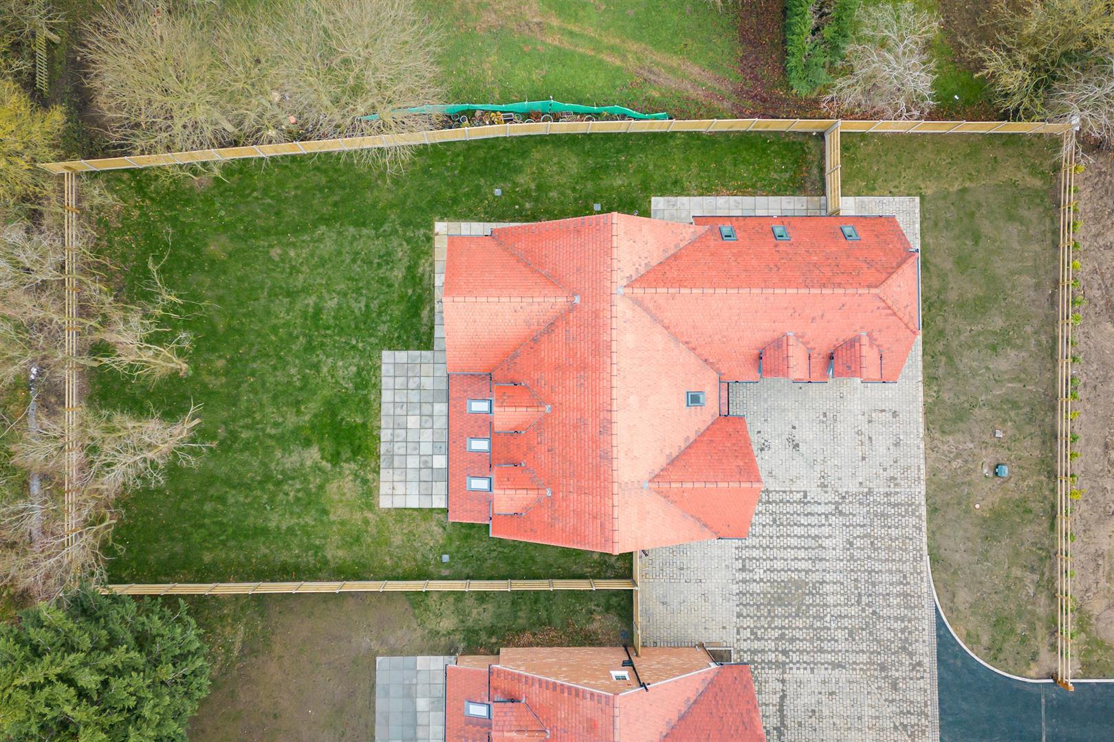 Image 46