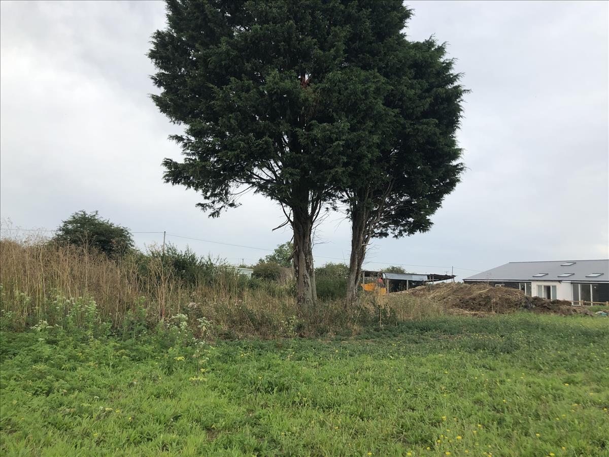 commercial property commercial development for sale in Haelan Field, Cottenham, CB24 Whozoo