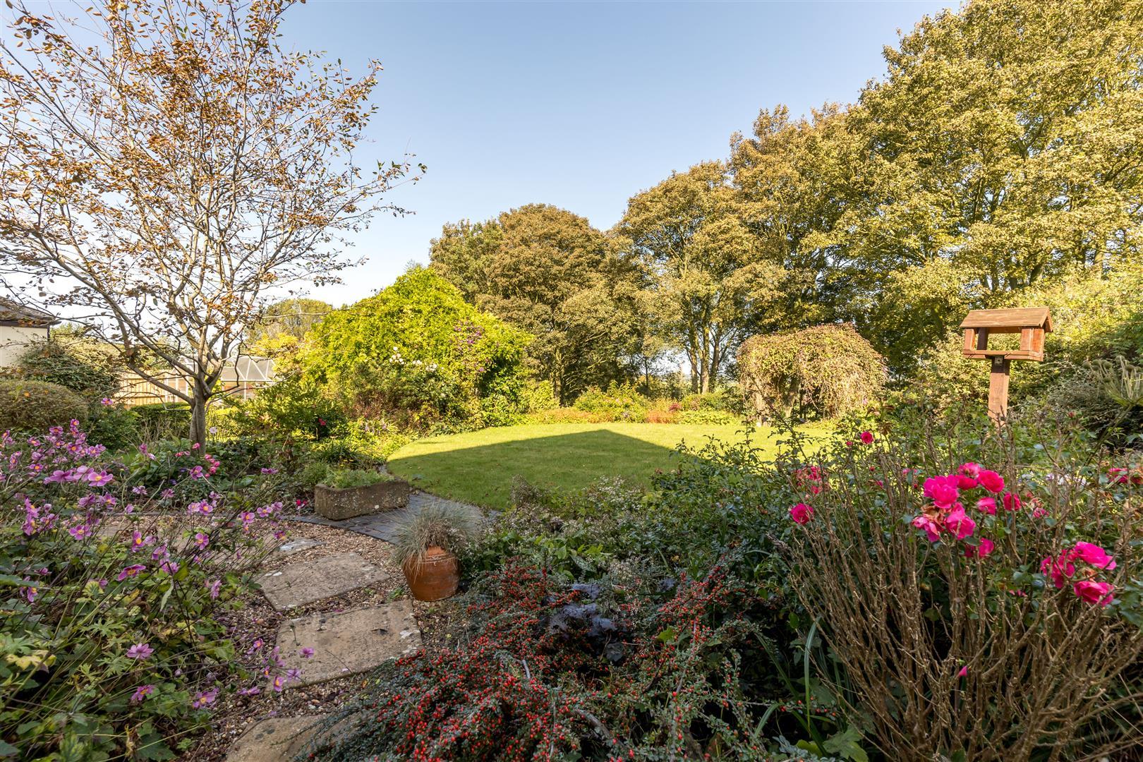 Property Image497a56e3-de0f-41d4-bc46-41ab214e973c