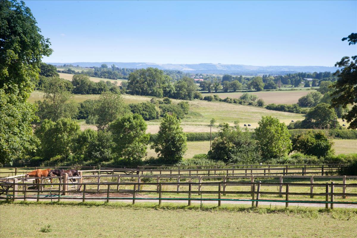 About Us Symonds & Sampson