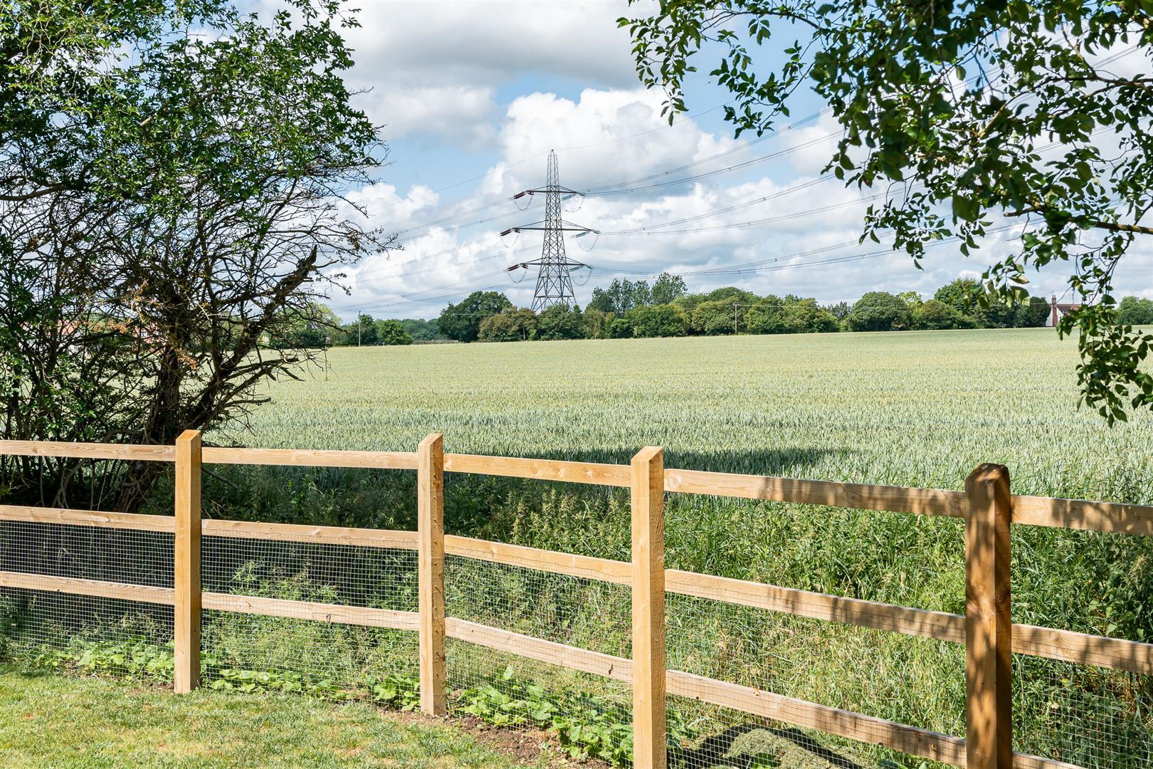 Image 29