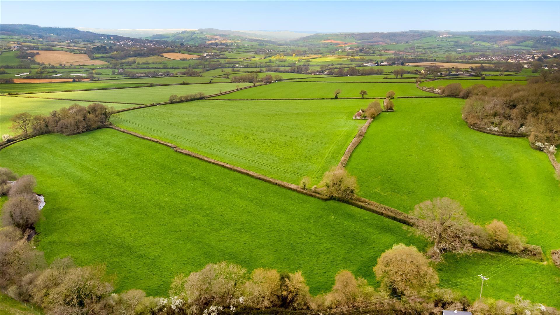 Agricultural Auctions by Symonds & Sampson Estate Agents, Auctioneers