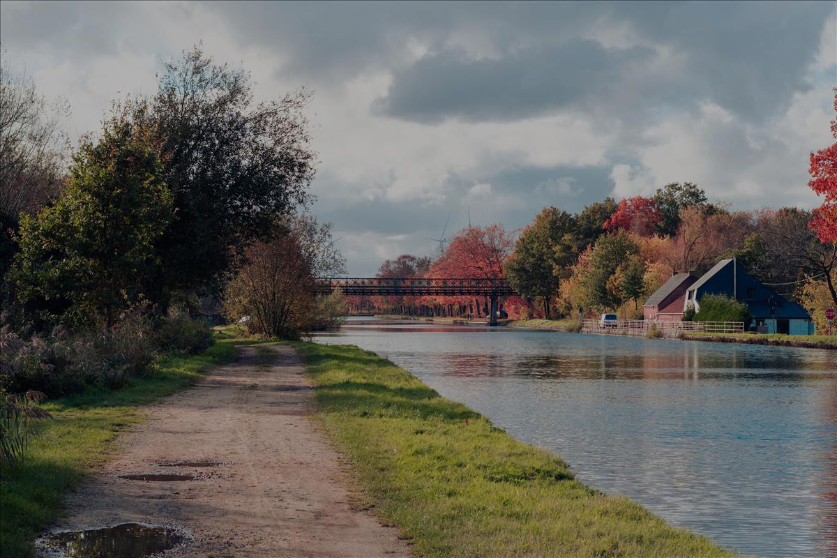 Forest Estate Estate Agents in the Feltham area