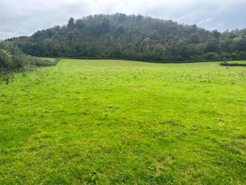 land for sale in Rhydygwern Farm, Lower Machen, NP10 David James