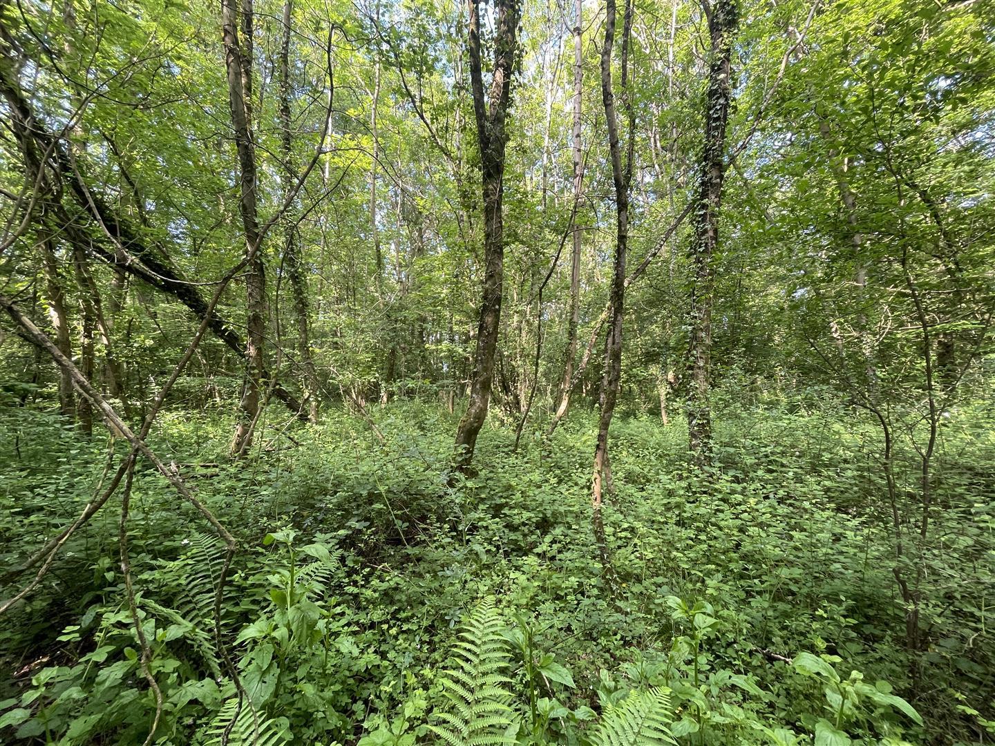 land for sale in Longburton, Sherborne, DT9 Symonds & Sampson