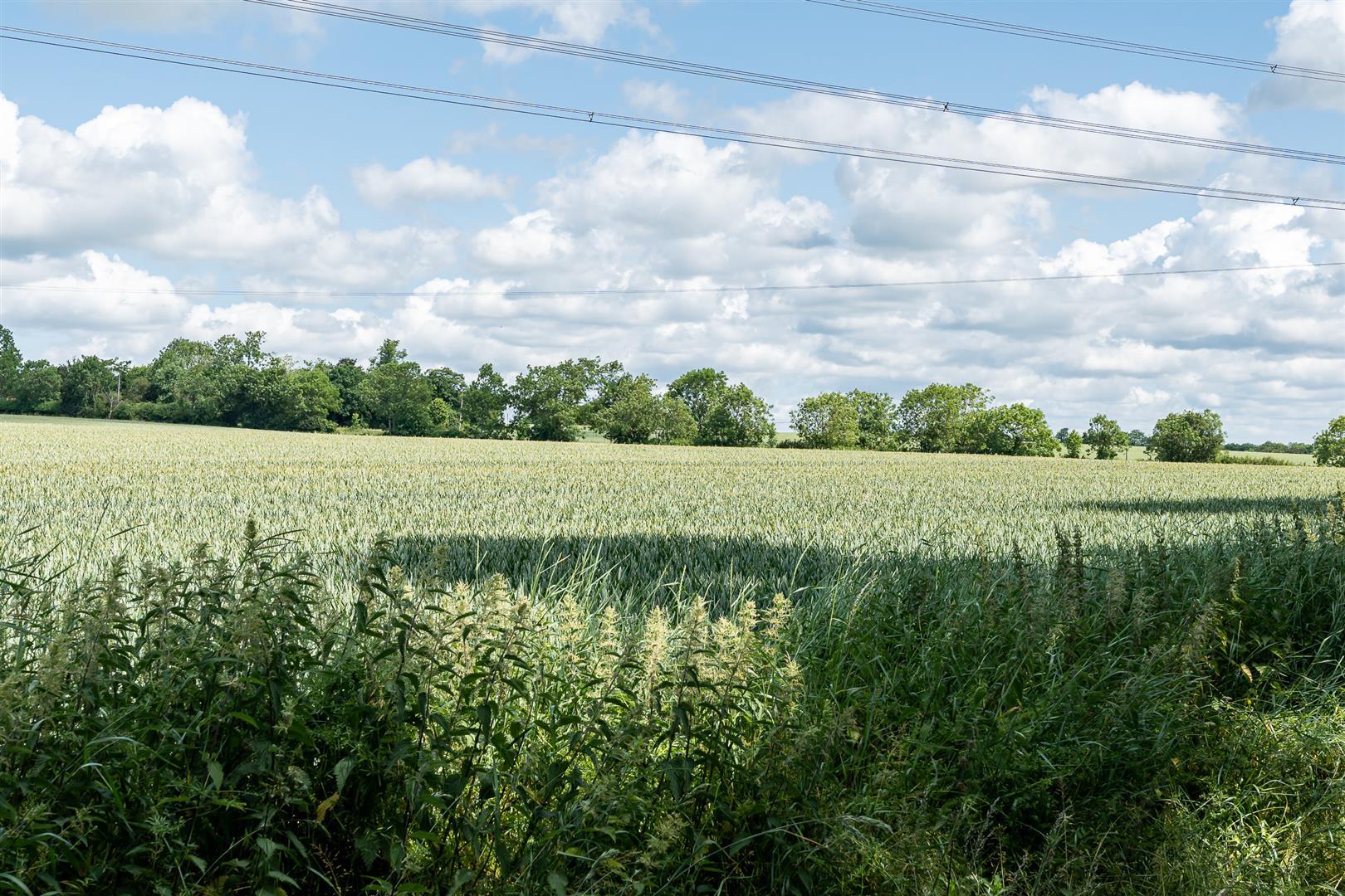Image 30