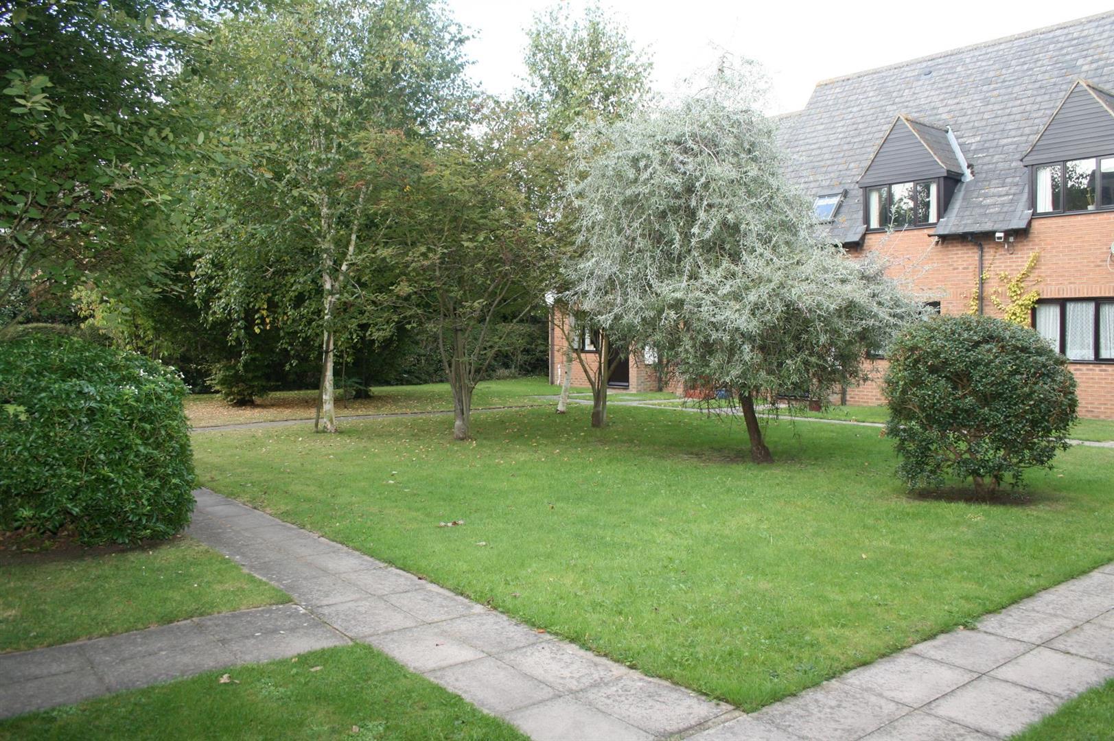 Property Image734eb209-fd8d-478d-9019-8d4acfe921bc