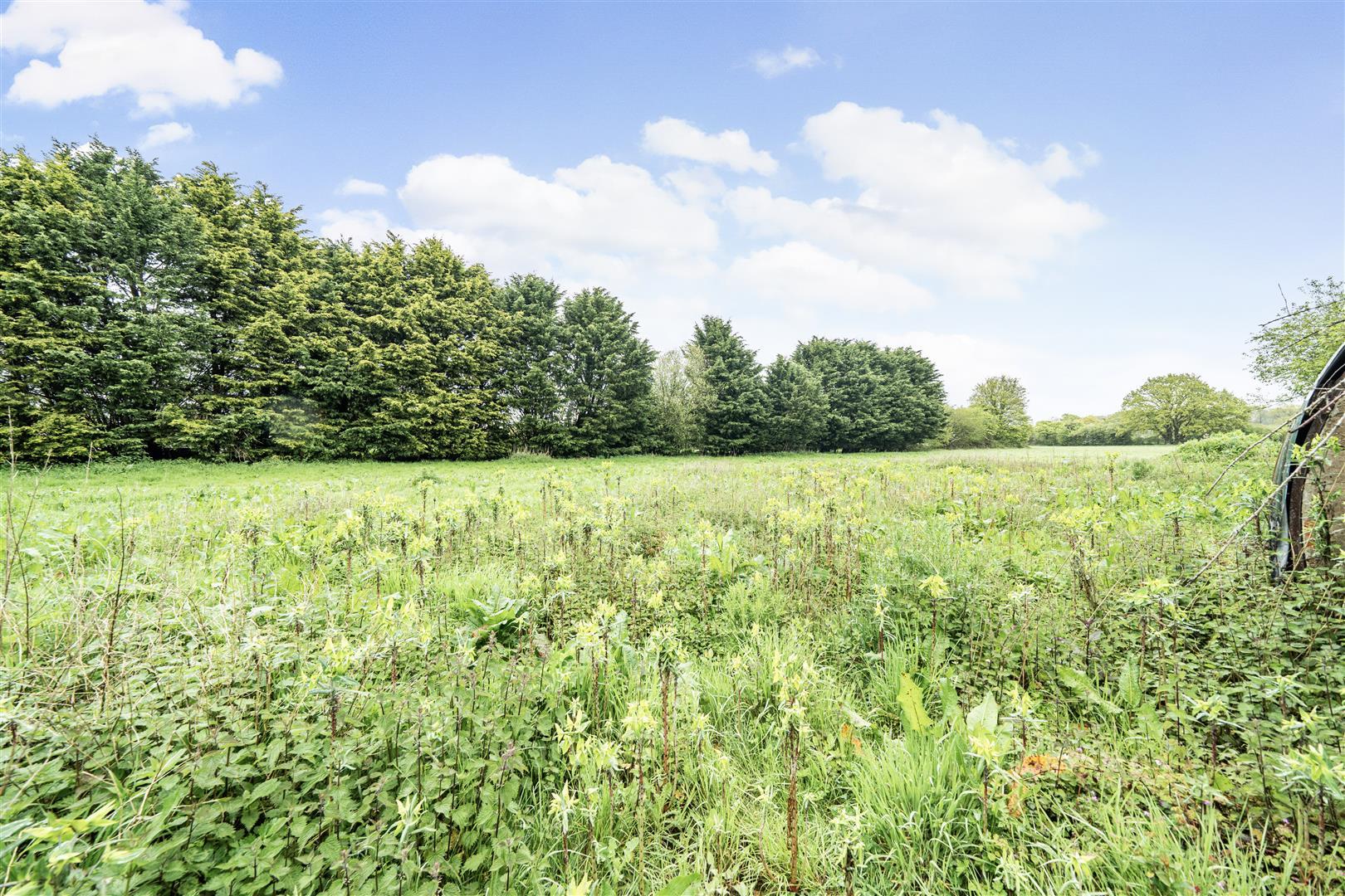 Property Image88857cf2-d1fd-44ea-81de-61352e1f39f9
