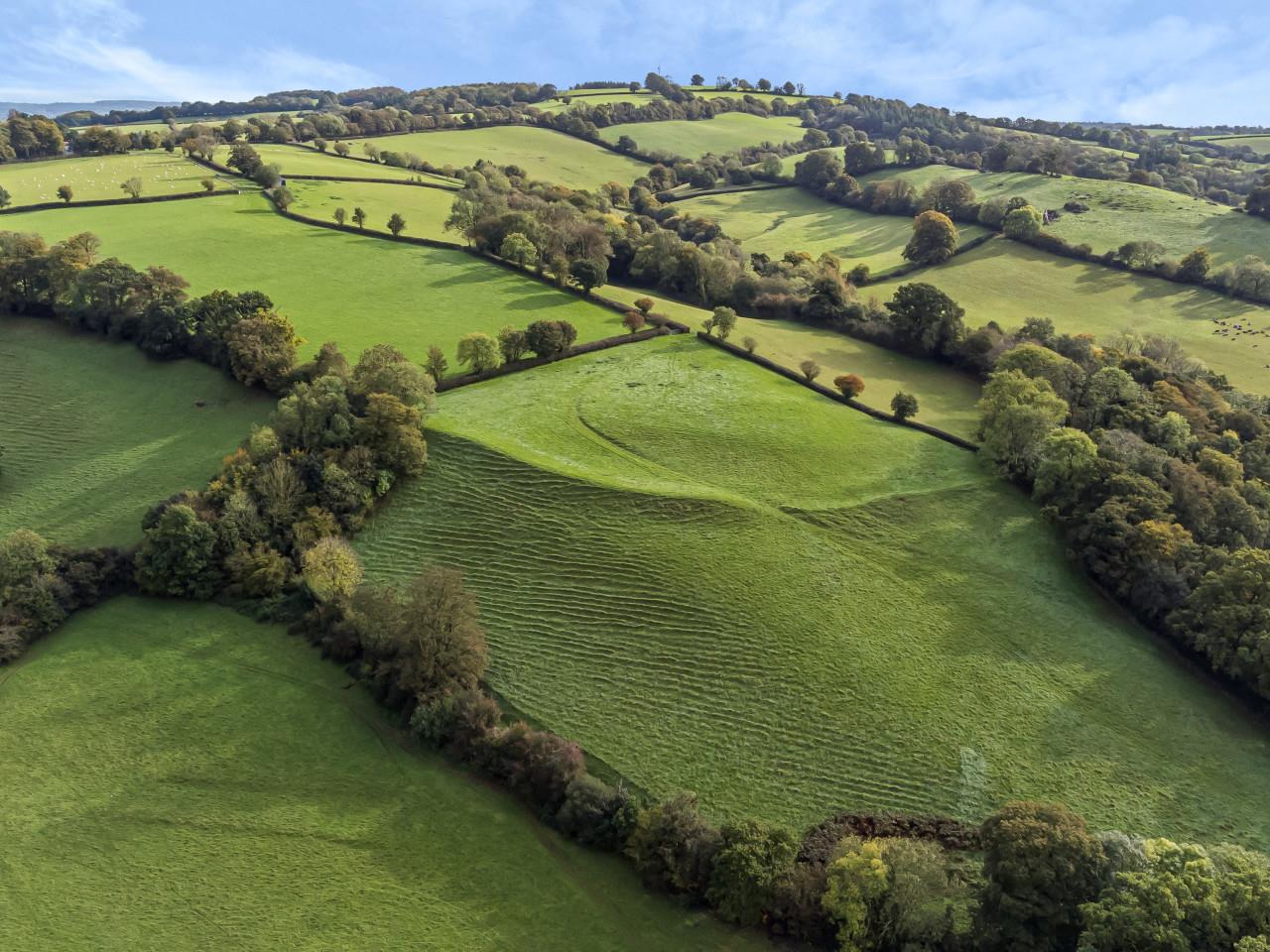 land for sale in Cranmore, Tiverton, EX16 Symonds & Sampson Auctions