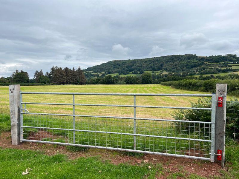 Properties for sale David James & Partners, Property Agents & Rural