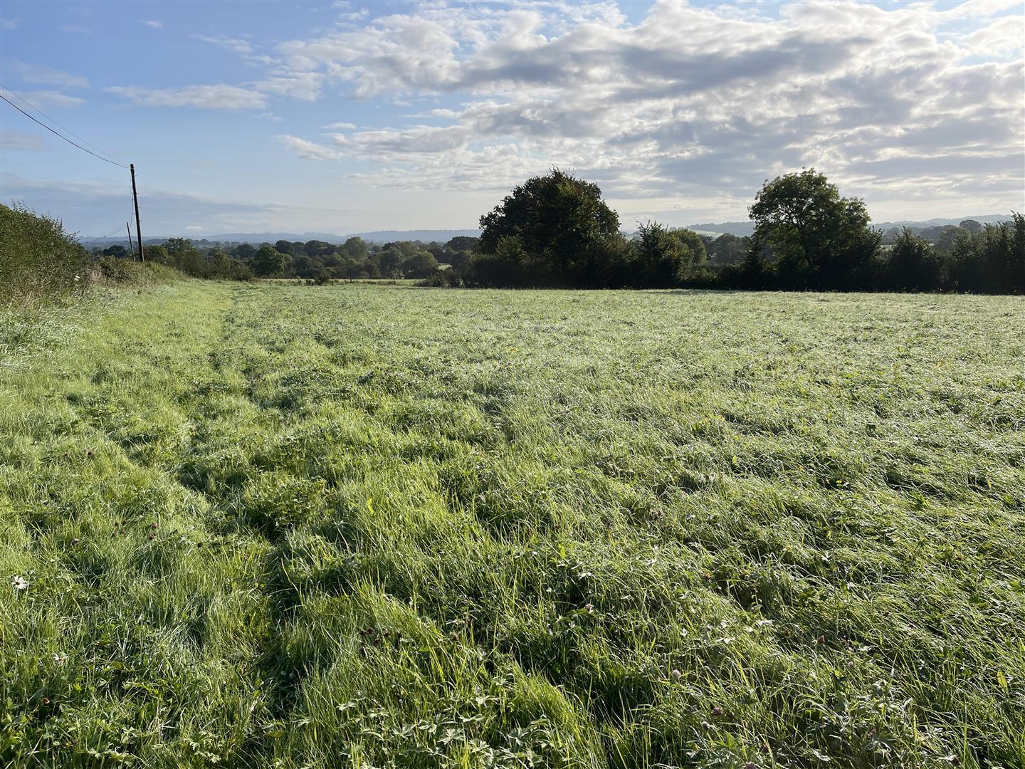 land for sale in Bay Road, Gillingham, SP8 Symonds & Sampson Auctions