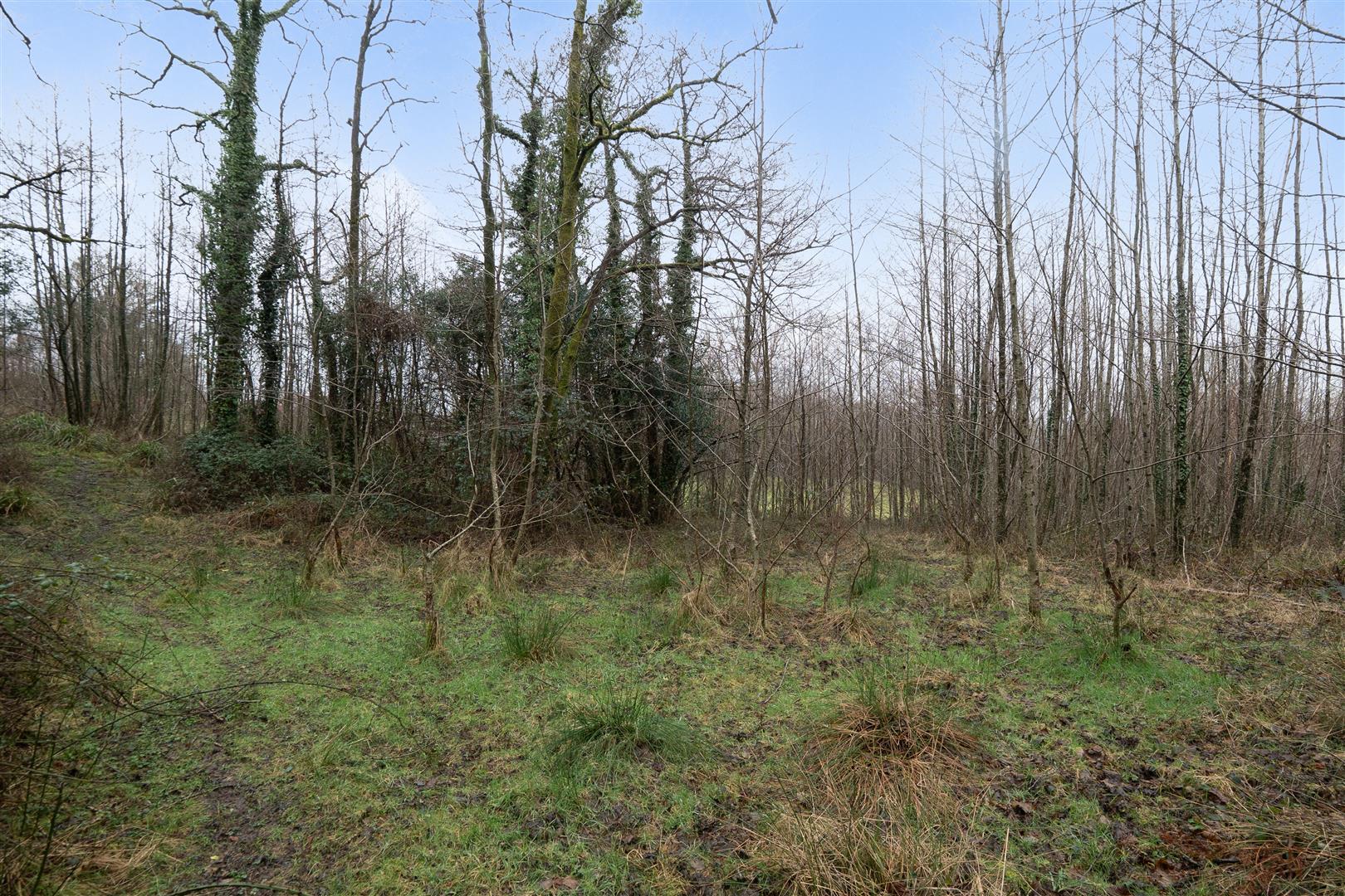 Property Imagea7801fdf-2f03-4844-9057-9ebfdb8214ab