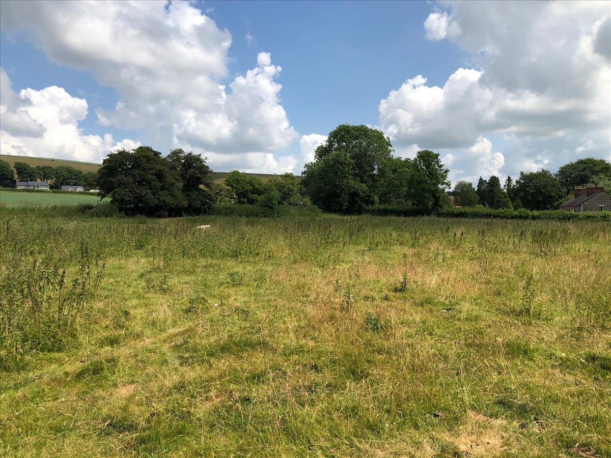 farm land for sale in , Warminster, BA12 | Cooper and Tanner