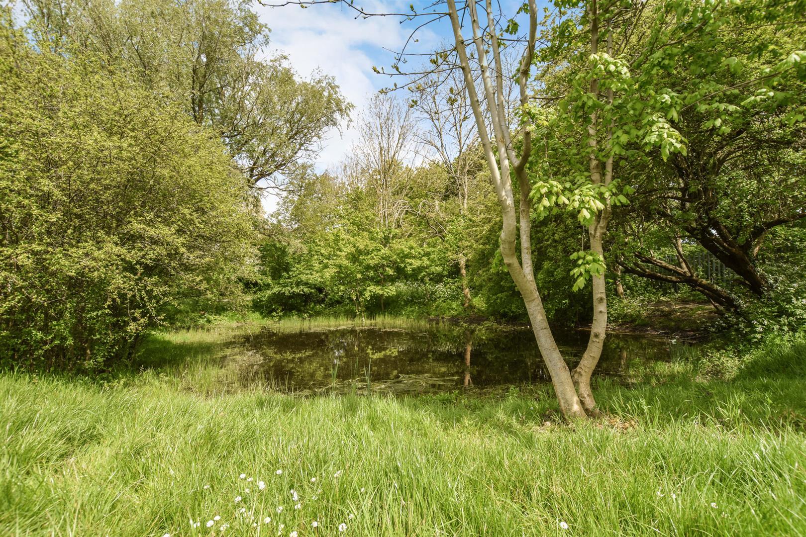 Property Imageab802812-ba4b-4835-beeb-a9eeb7c708a2