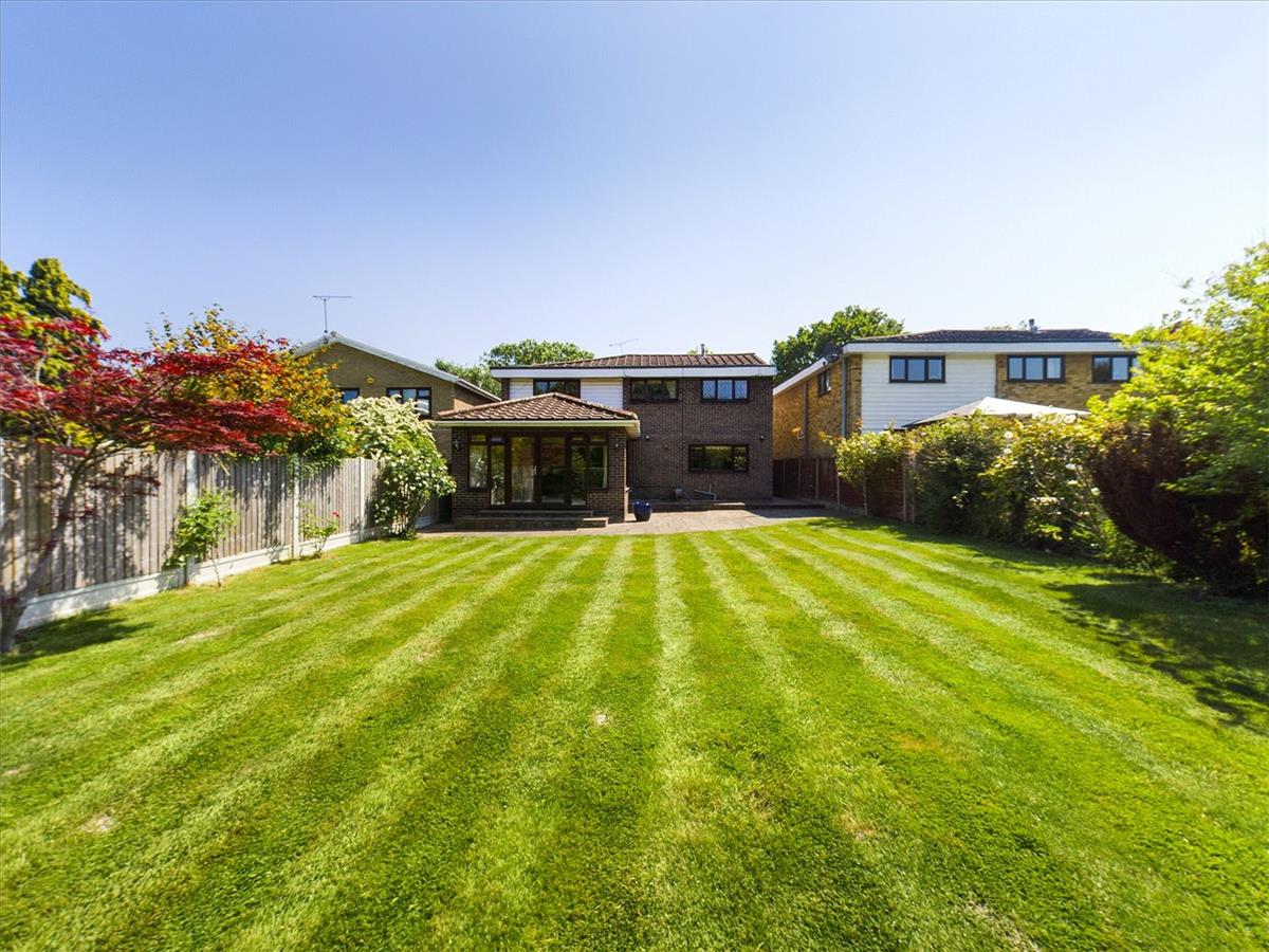 Property Imageb5db6e8a-4c50-411a-af77-6b66da9e9418