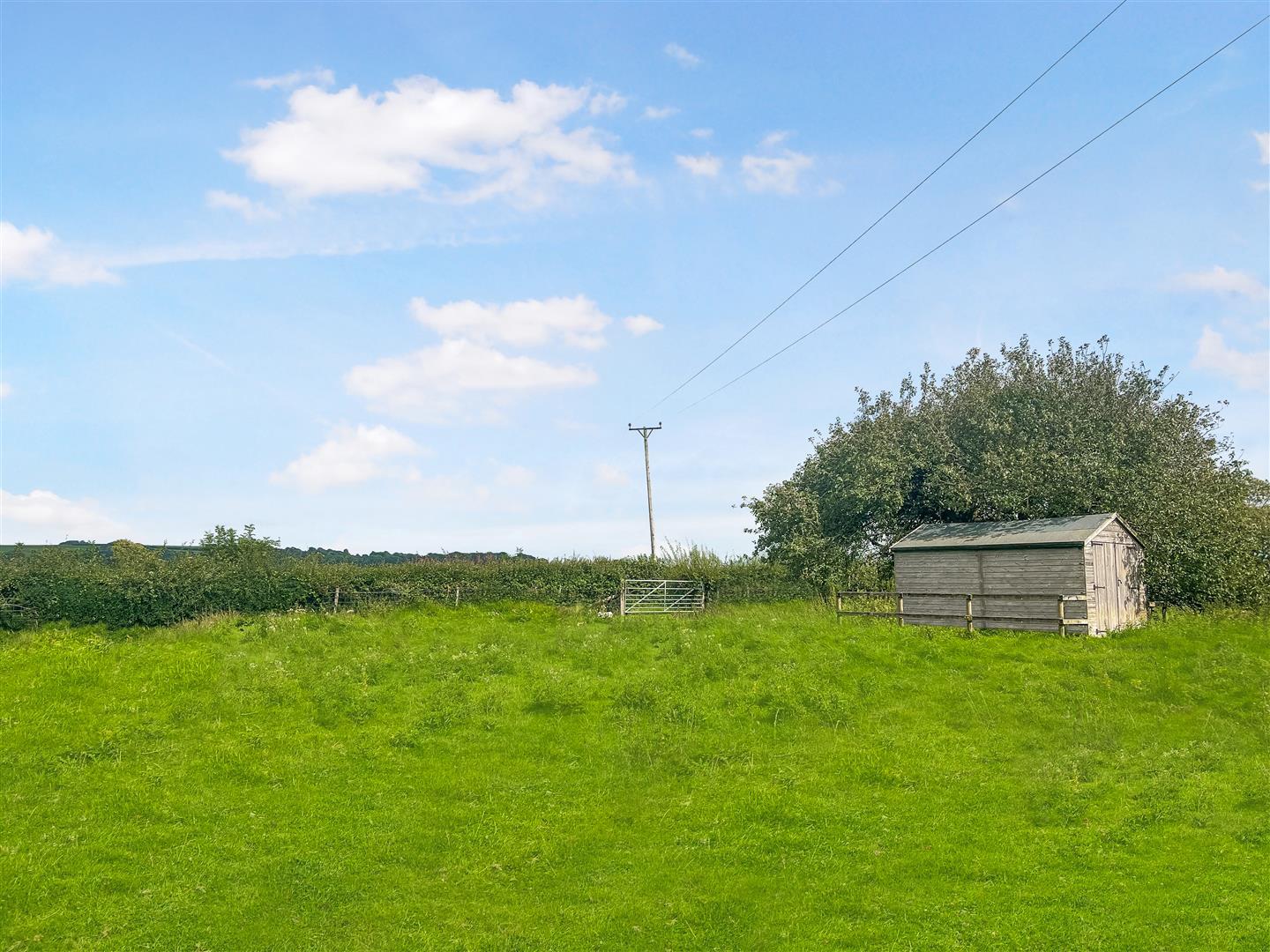 land for sale in Broadoak, Bridport, DT6 Symonds & Sampson Auctions