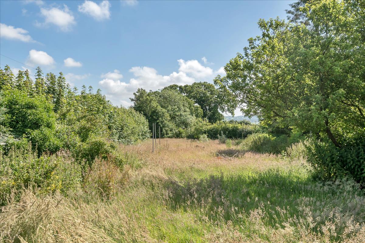 Property Imageca72cbe8-10a9-432a-9cb0-f7524ef7a7b1