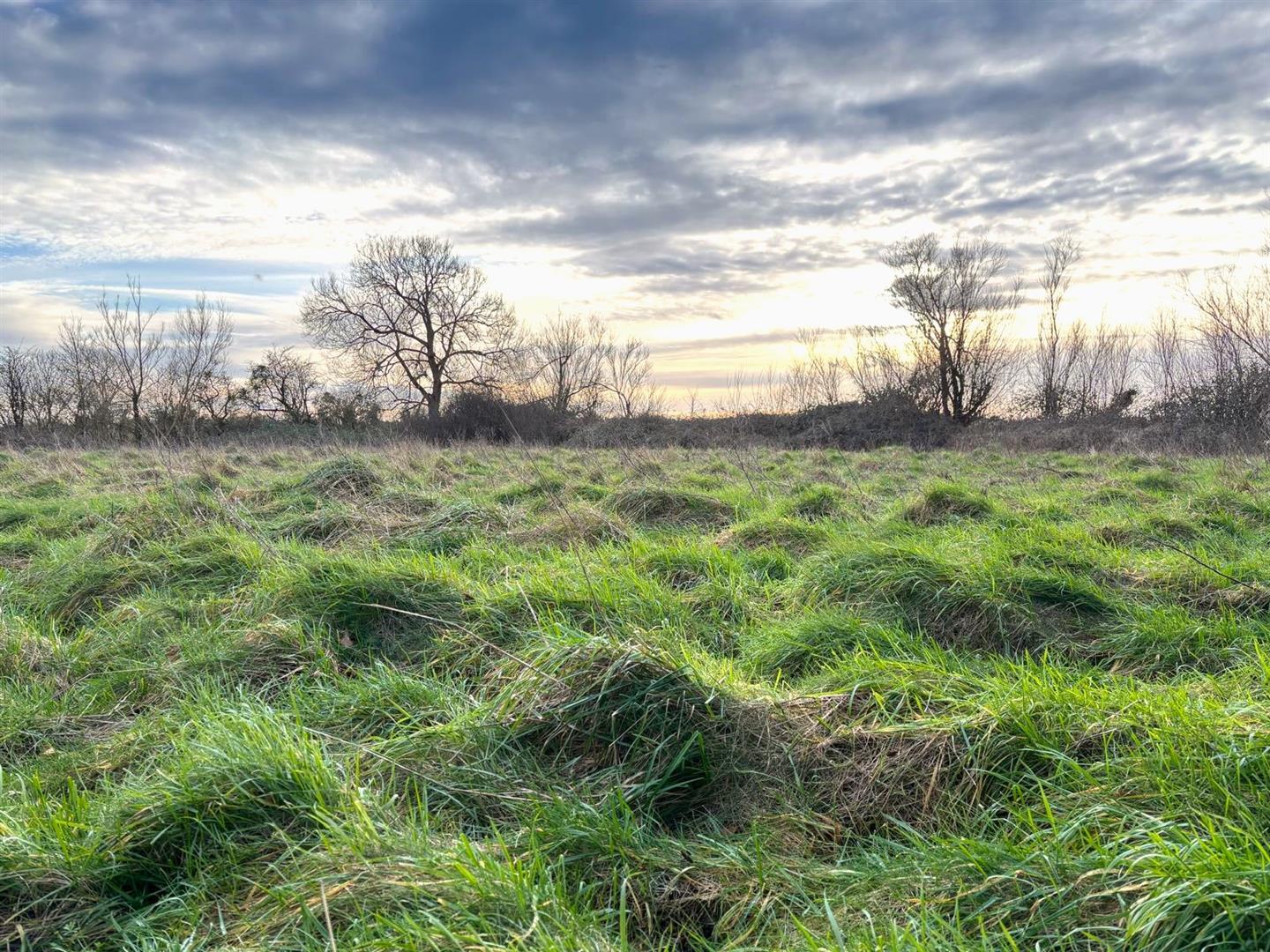 Property Imageda9b1e3d-0720-48bd-90a4-fa4877c82d0f