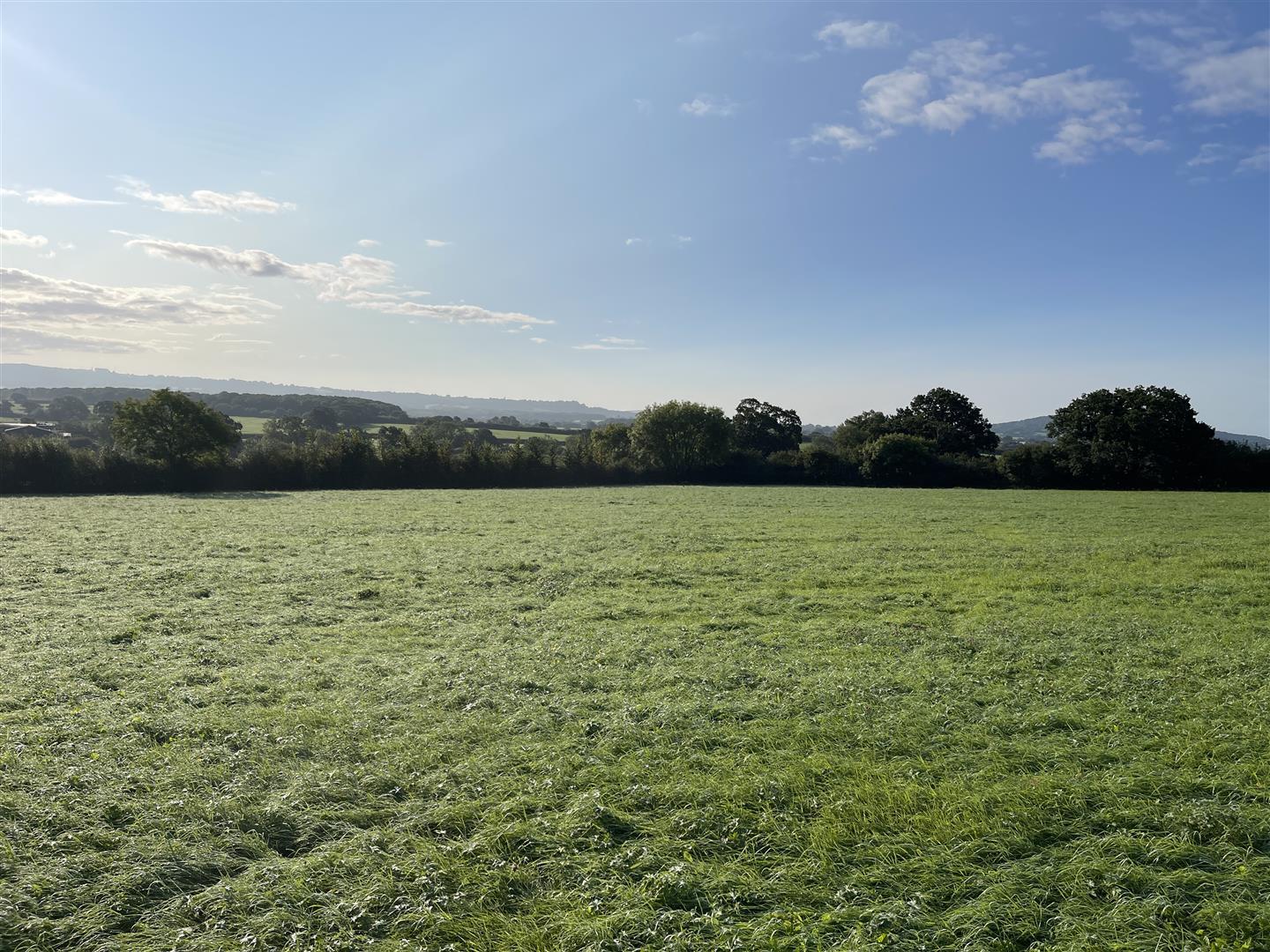 land for sale in Bay Road, Gillingham, SP8 Symonds & Sampson Auctions