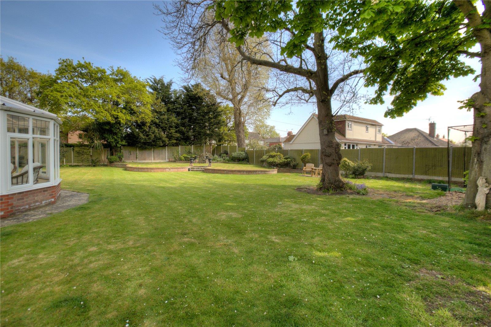 Image 30