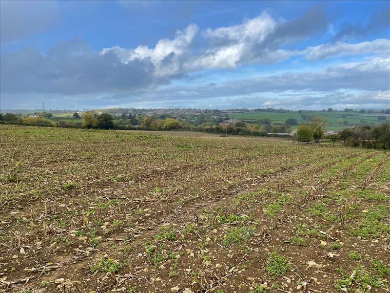 land for sale in Ashcott, Somerset, TA7 Symonds & Sampson