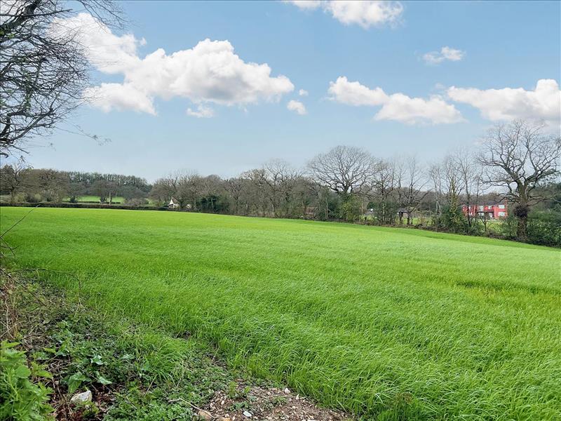 land for sale in Birchill, Chardstock, EX13 Symonds & Sampson Auctions