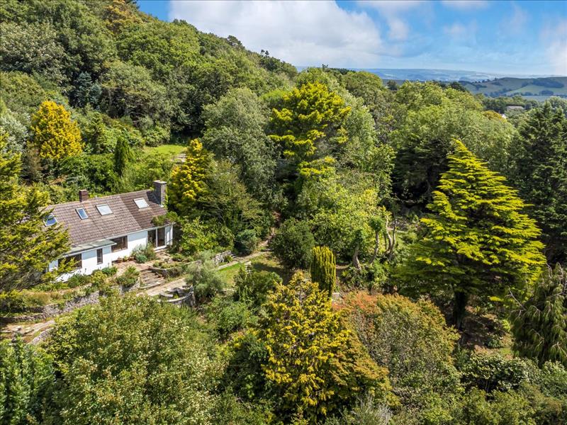 4 bedroom detached bungalow for sale in Gibbs Lane, Bridport, DT6