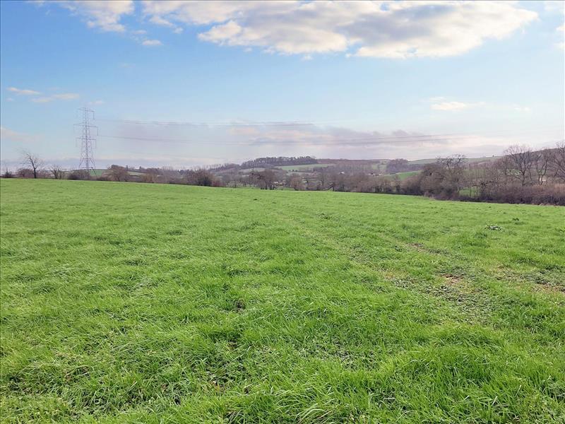 land for sale in Broadoak, Bridport, DT6 Symonds & Sampson Auctions