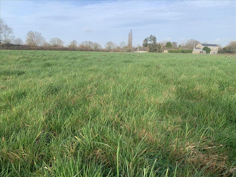 land for sale in Limington, Yeovil, BA22 Symonds & Sampson Auctions