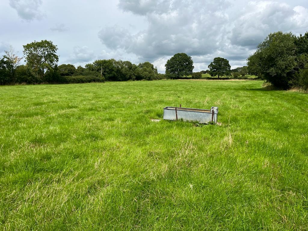 land for sale in East Orchard, Shaftesbury, SP7 Symonds & Sampson Auctions