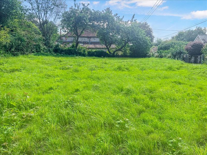 land for sale in Axminster, EX13 Symonds & Sampson Auctions