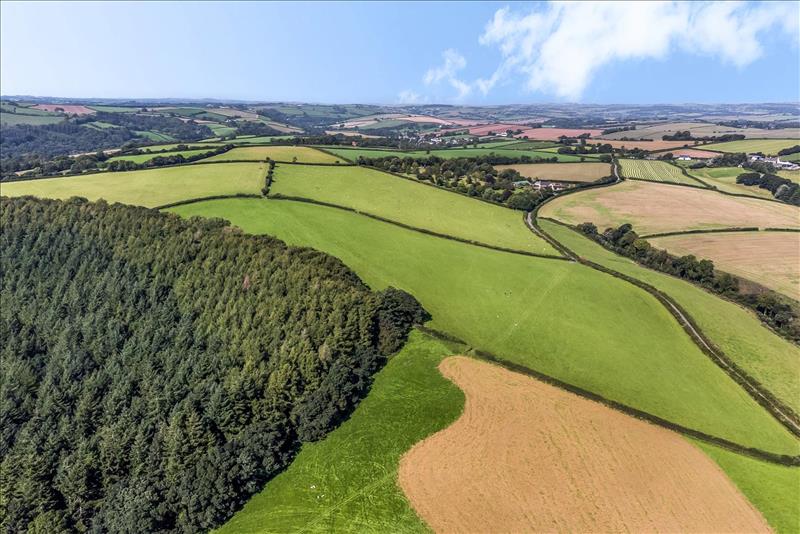 Land Proves Popular at Auction Symonds & Sampson LL