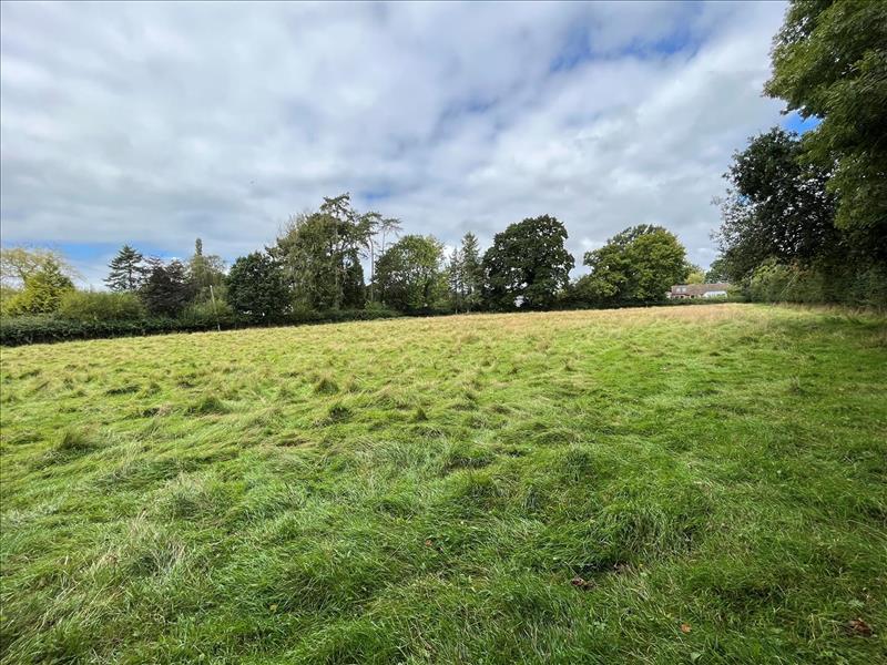 land for sale in All Saints, Axminster, EX13 Symonds & Sampson Auctions