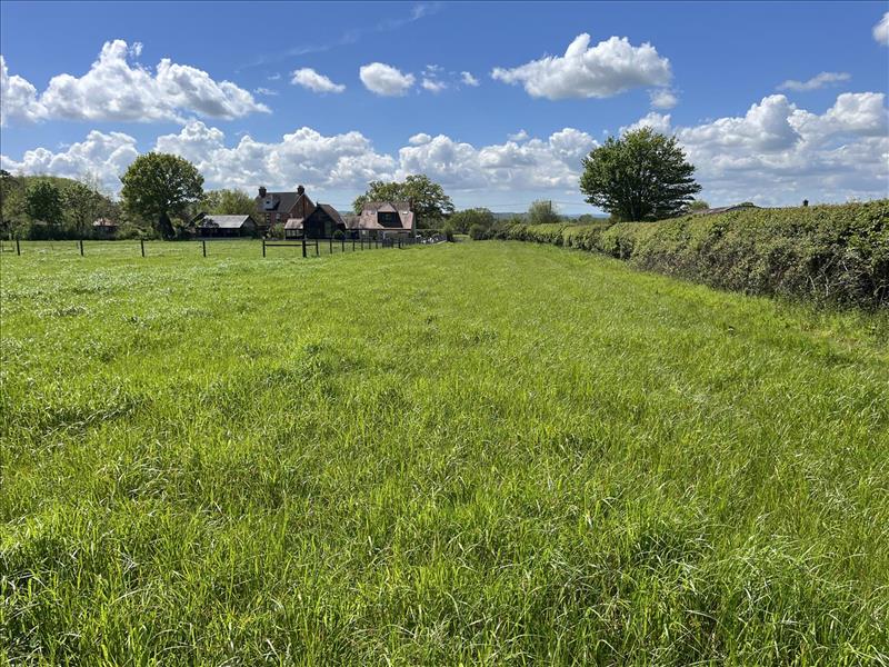 land for sale in East Orchard, Shaftesbury, SP7 Symonds & Sampson Auctions