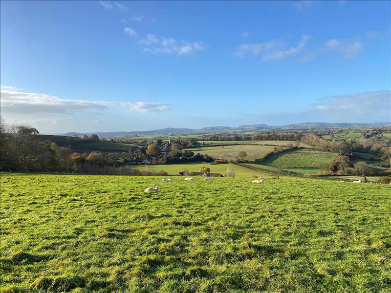 land for sale in Mapperton Lane, Bridport, DT6 Symonds & Sampson Auctions