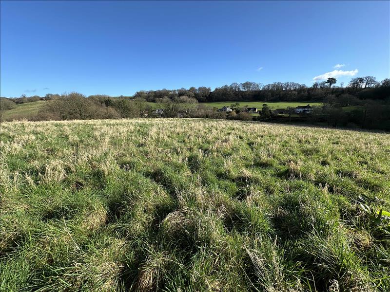land for sale in Nether Compton, Sherborne, DT9 Symonds & Sampson Auctions