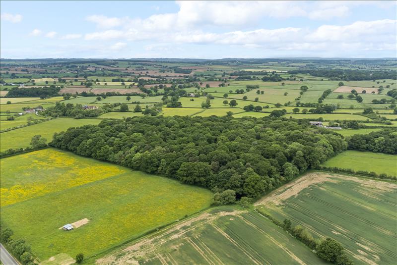 land for sale in Peaceful Lane, Sturminster Newton, DT10 Symonds & Sampson Auctions
