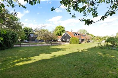 Image 31