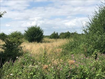 Court Farm - Tithepit Shaw Lane - Warlingham