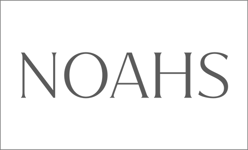 Noahs London Ltd secondary logo