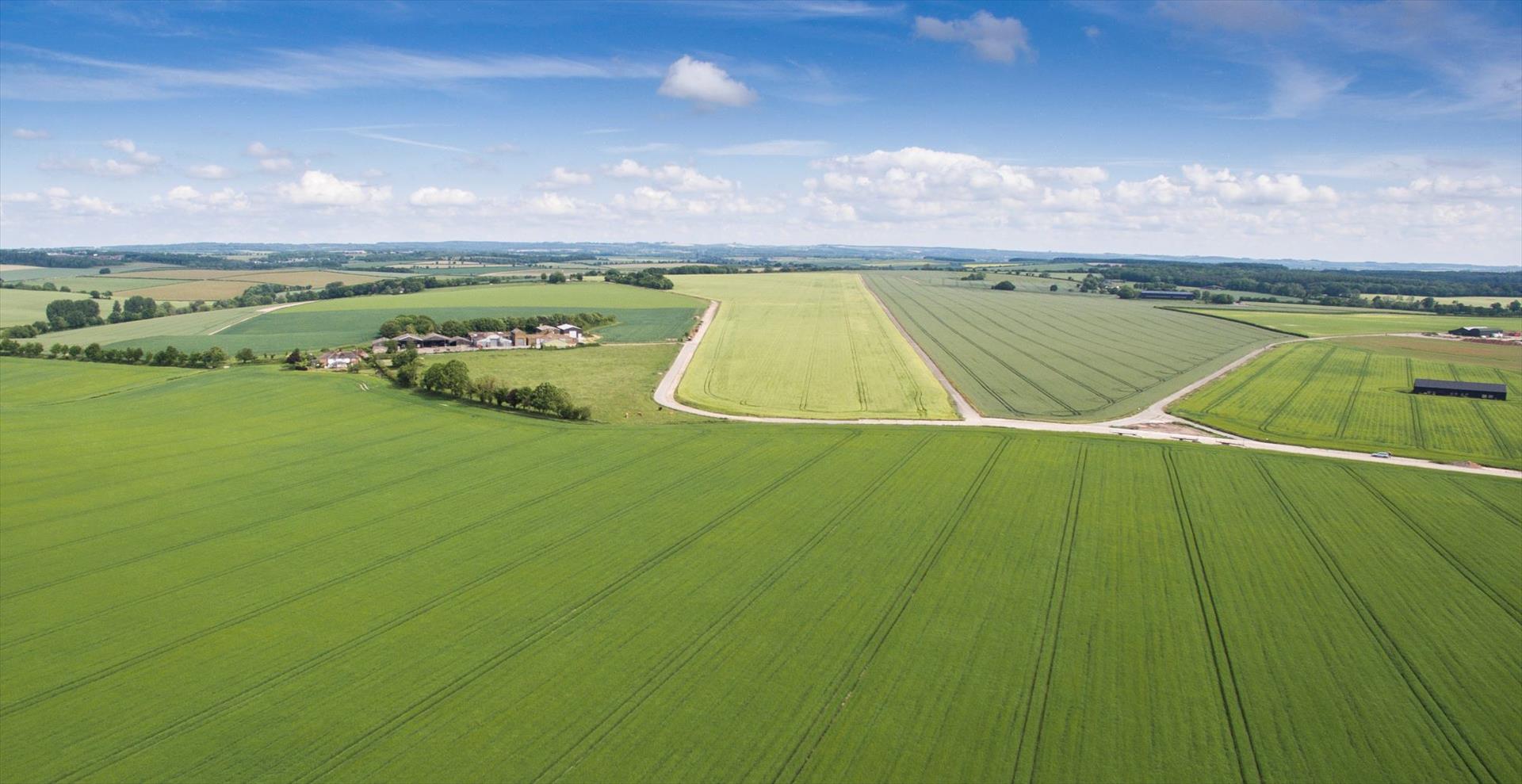 Substantial Dorset Farm for sale Symonds & Sampson LLP